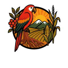 Raíces de mi tierra 